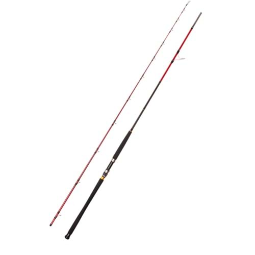 Caretta Vector 2.95 m 40-120 g Shore Jig Rod