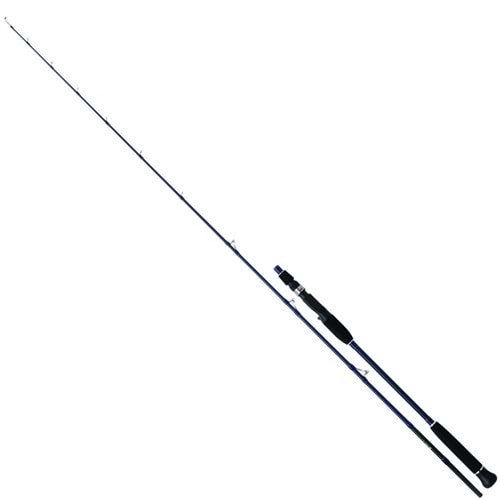 Daiwa Exceler Oceano 193cm 180gr 2p Tetikli Jig Kamış