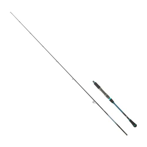 Daiwa Harrier Jigging CA 1.91M 1+1 40-160GR Jig Kamış (Tetikli)