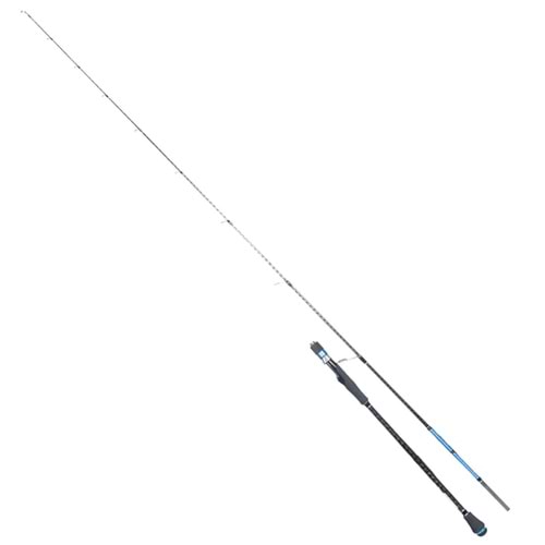 RYUJI SEAHUNTER SP 2.06M 80-300GR 2P JIG KAMIŞ