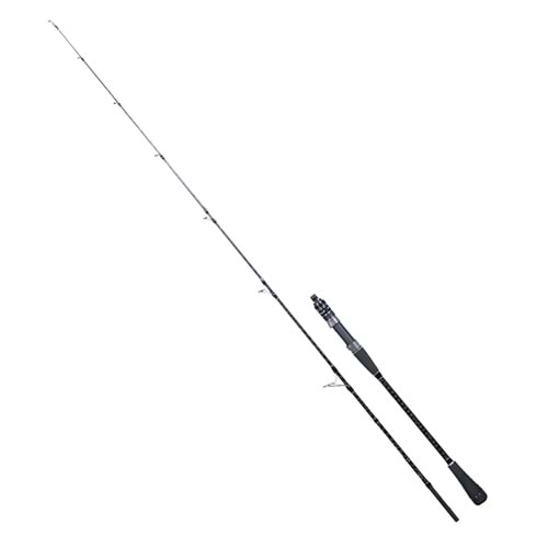 RYUJI BLACK SEA FUJI SP 1.80M 90-280GR 2P JIG KAMIŞ