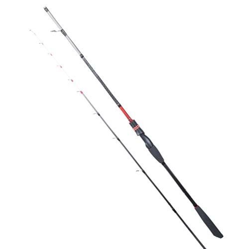 Ryuji Spectra SP 1.98M 70-300GR 2P Bot Kamışı