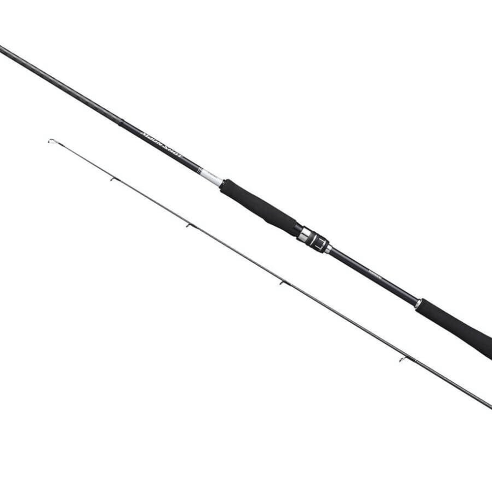 Shimano Moonshot Spinning Inshore 2,90m 9'6