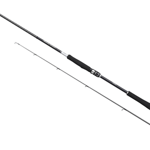 Shimano Moonshot Spinning Inshore 2,90m 9'6