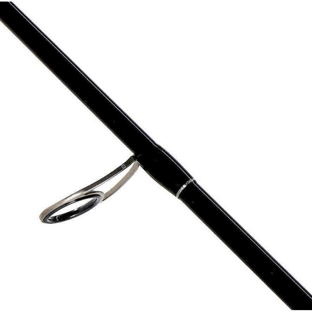 Shimano Bassterra A Seabass Spinning 2.44m 8'0