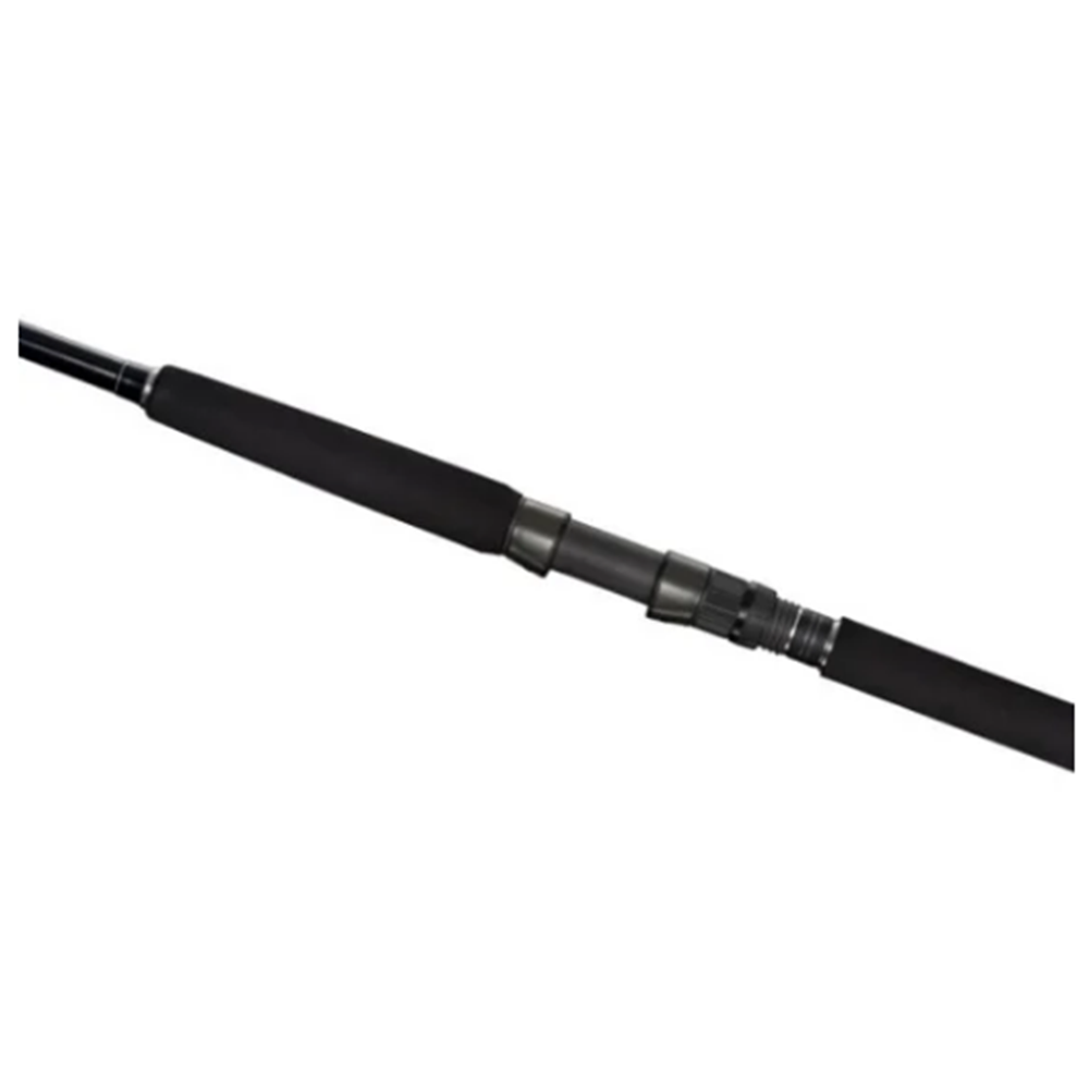 Shimano Currentsniper BB S100H 3,05m 10'0