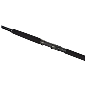 Shimano Currentsniper BB S100H 3,05m 10'0