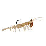 SANDY SHRIMP