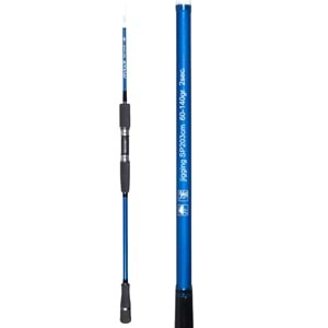 Ryuji Bıg Game Fuji P2.03m 60-140gr 2p Jig Kamış