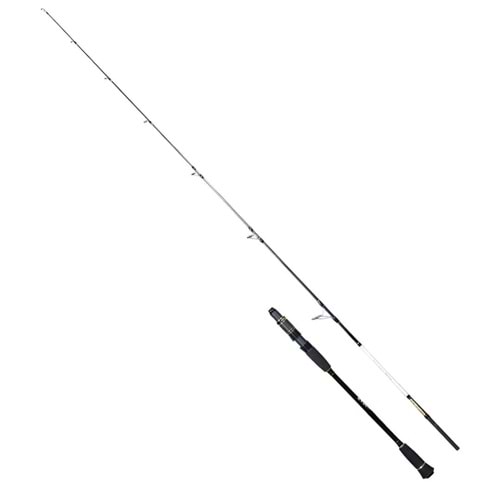 Ryuji Ocean Soul Fuji 1.80m 30-200gr 2P Slow Jig Kamış