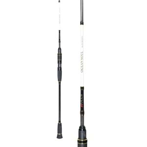 Ryuji Ocean Soul Fuji 1.80m 30-200gr 2P Slow Jig Kamış