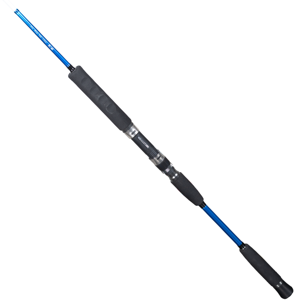 Ryuji Big Game Fuji 1.59M Max 350GR 2P Jig Kamış