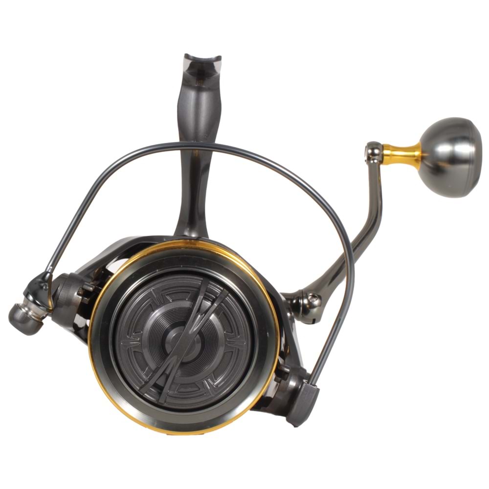 Ryuji Momentum 10000 Grey Gold 11+1BB Surf Makara