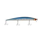 165 MIRROR SARDINE
