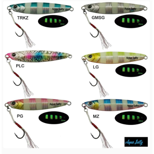 Aqua Salty Multi 55 gr Jig yem